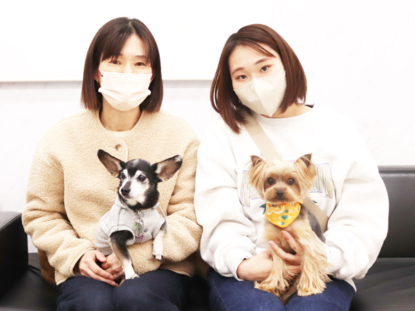 モデル犬の新しい家族が決まりました！PART④